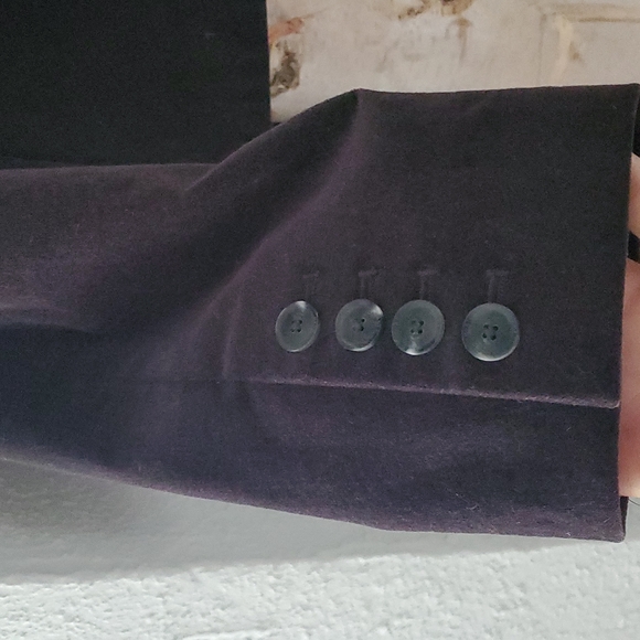 Mexx Velvet Blazer Size 40- US 8 - Picture 4 of 6